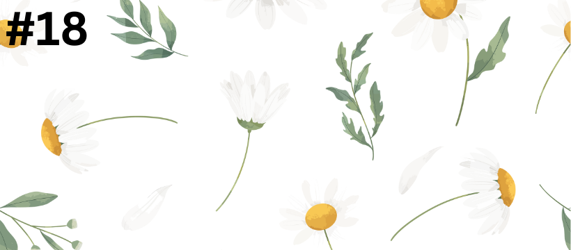Custom Digital WALLPAPERS- Wallpapers & Banners for a Phone/PC/Laptop/iPad/Etsy Banner/Twitter Banner/Facebook Banner
