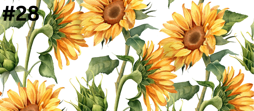 Custom Digital WALLPAPERS- Wallpapers & Banners for a Phone/PC/Laptop/iPad/Etsy Banner/Twitter Banner/Facebook Banner